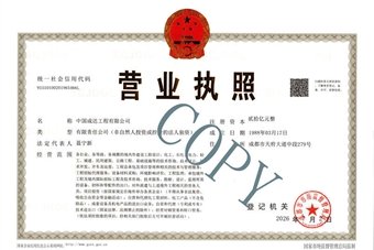领导团队