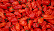 Load image into Gallery viewer, Lan Prik Chili Sauce (Ghost Pepper)